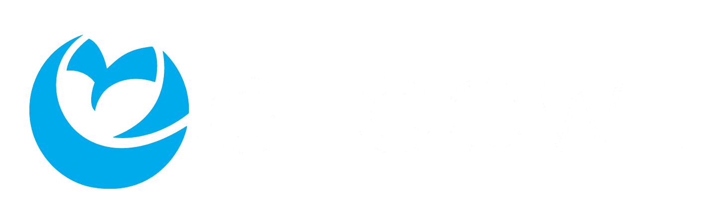 Geo Owl